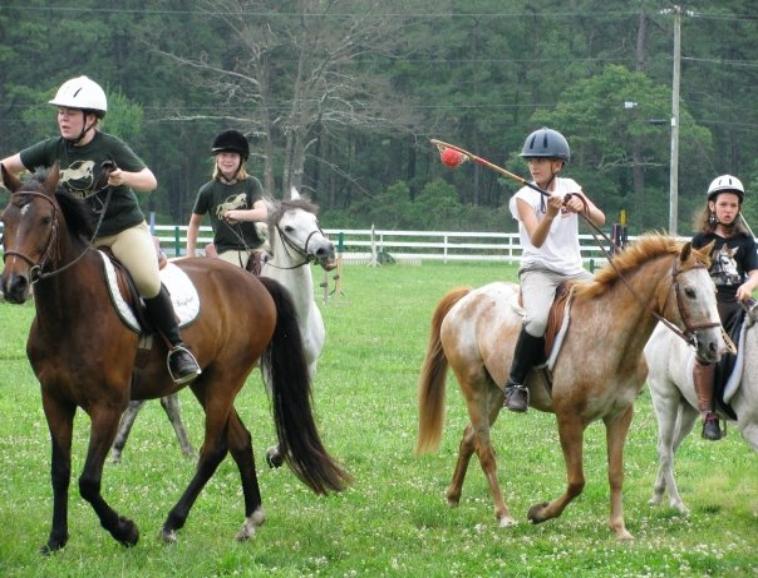 Split Elm Equestrian's horse camp pictures